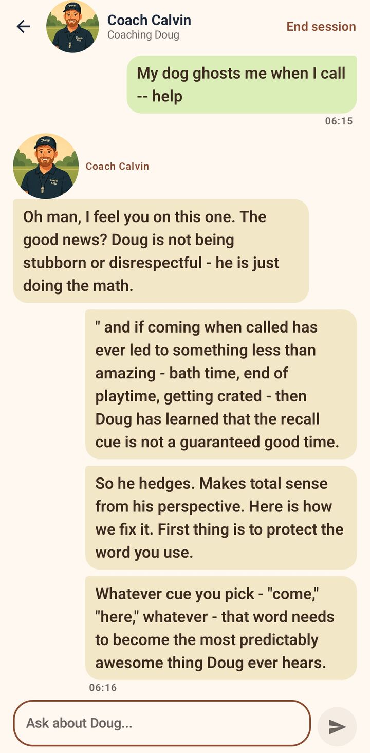 Chatting with Coach Calvin in the Dawg app